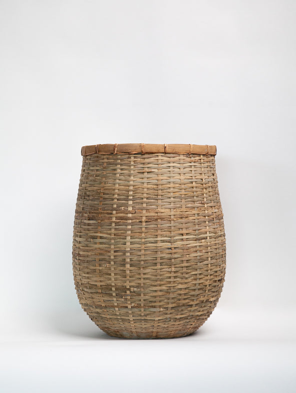 Bamboo